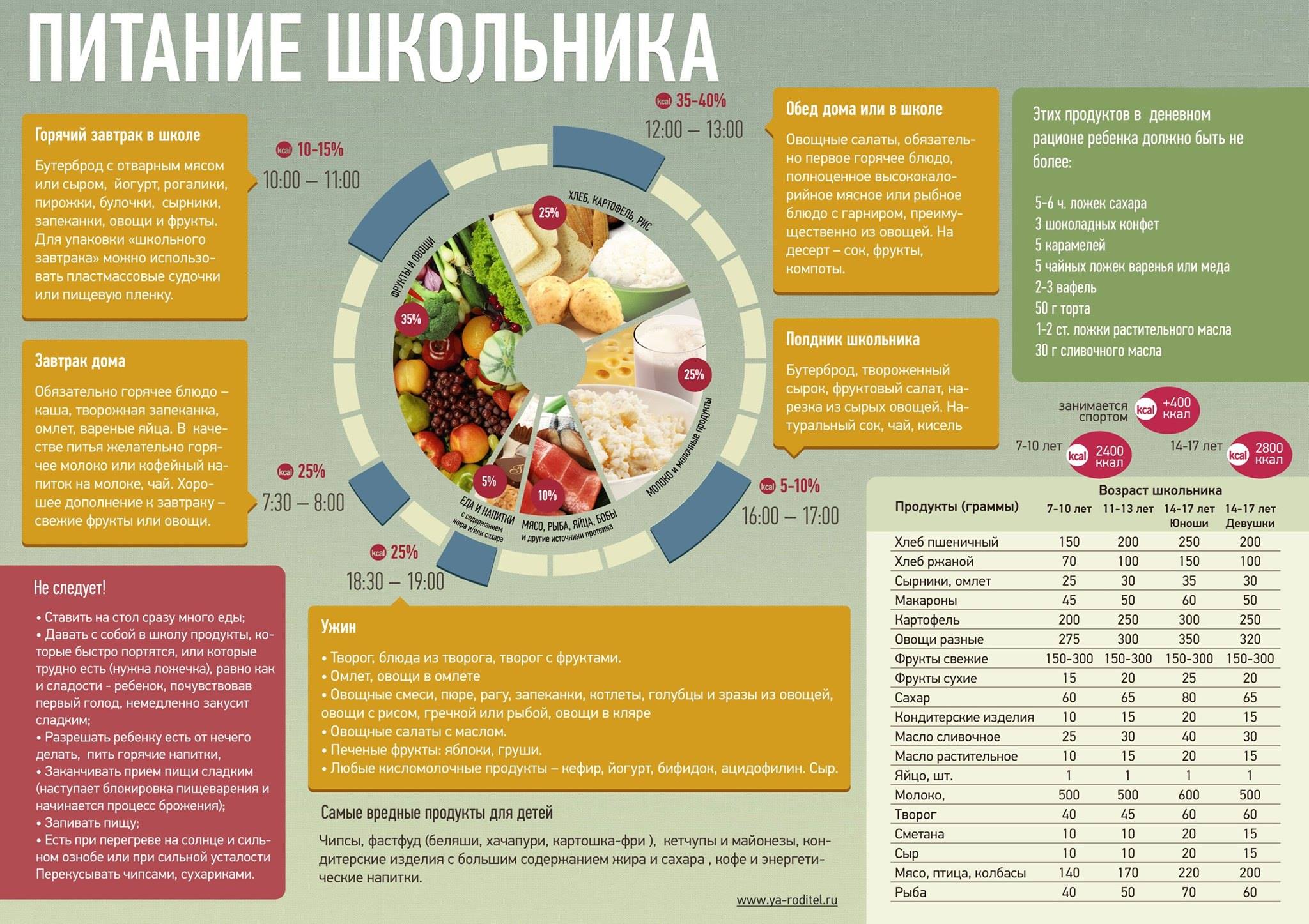 Организация питания в образовательной организации - МБУ 